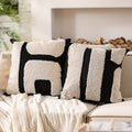 Decorative Throw Pillow Covers (2)