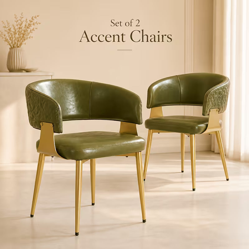 Curved Modern Upholstered Dining Chairs