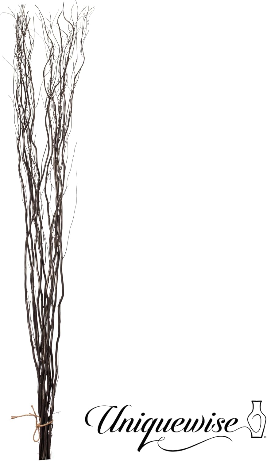 Decorative Willow Sticks