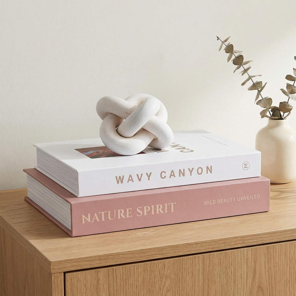 Elegant Decorative Book Boxes Set of 2