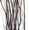 Decorative Willow Sticks