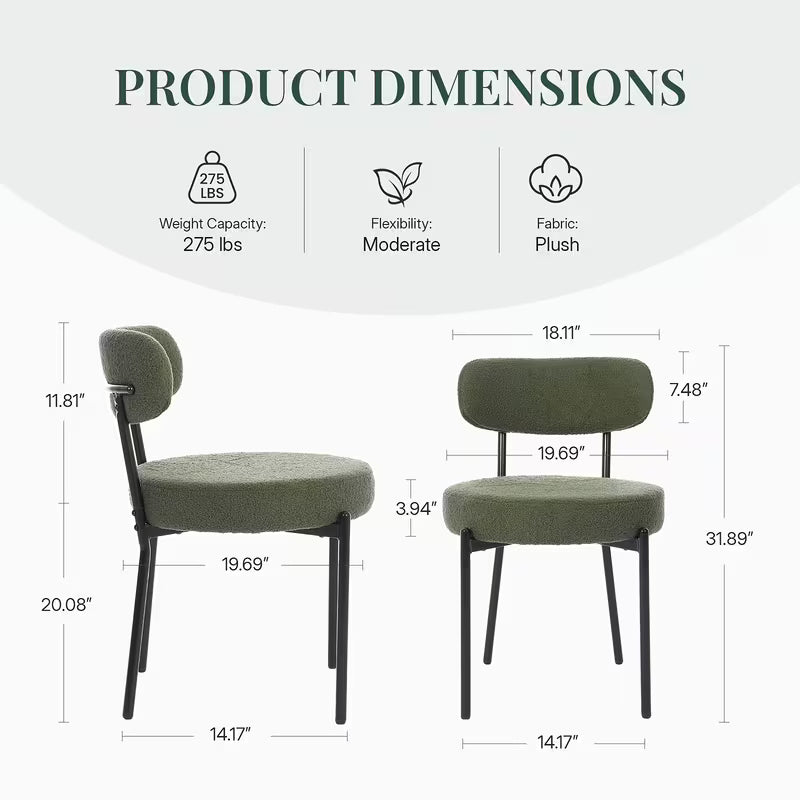 Dining Chairs Set Of 2