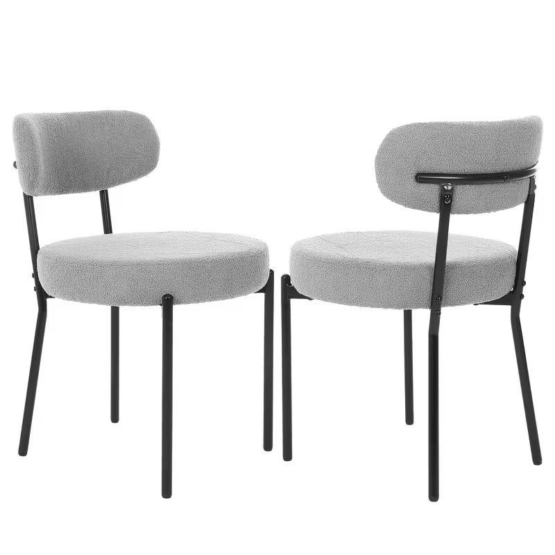 Dining Chairs Set Of 2