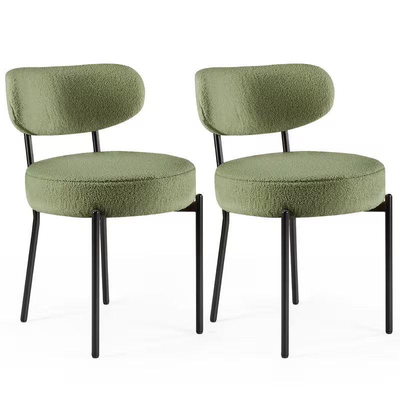 Dining Chairs Set Of 2