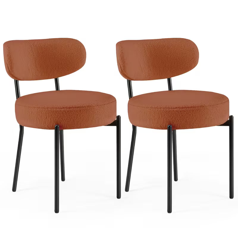 Dining Chairs Set Of 2